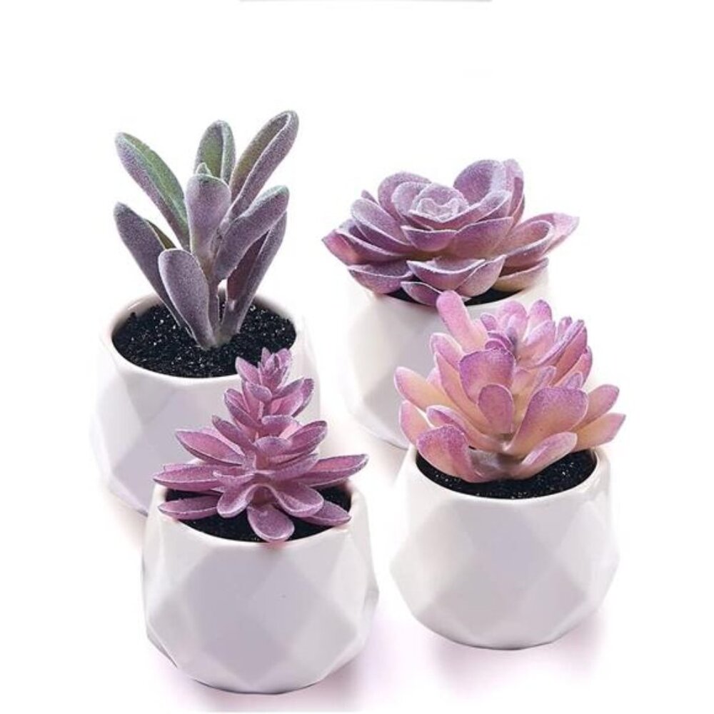 Fake Succulent Plant Set - Artificial Desk Plants for Women Desk -Faux Succulent